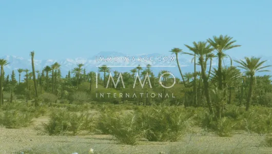 Vente terrain Marrakech