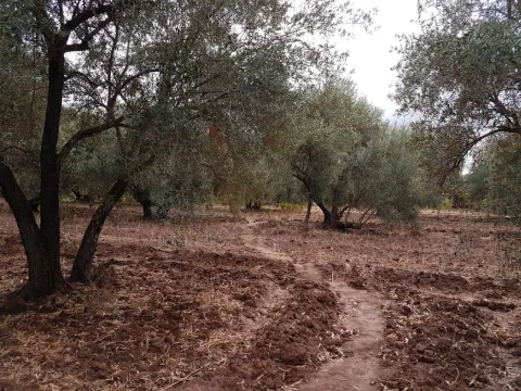 Terrain à vendre Terrain villa Marrakech Extérieur Route Amizmiz