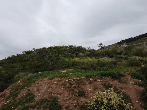purchase plot Land villa Marrakech Exterior Route Ourika