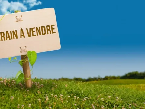 Land for sale Land villa Marrakech Palmeraie Circuit Palmeraie