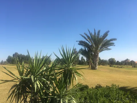 Land for sale Land villa Marrakech Golfs Other golf courses